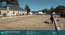Miniature vidéo