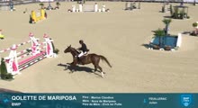 Miniature vidéo