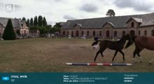 Miniature vidéo