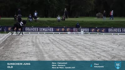 Miniature vidéo