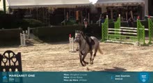 Miniature vidéo
