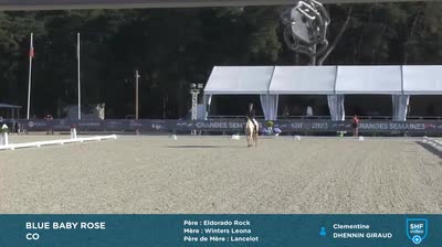 Miniature vidéo
