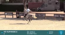 Miniature vidéo