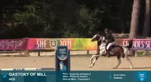 Miniature vidéo