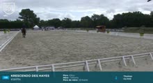 Miniature vidéo