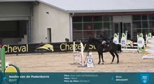 Miniature vidéo