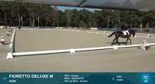 Miniature vidéo