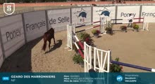 Miniature vidéo