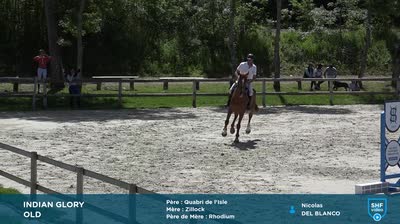 Miniature vidéo