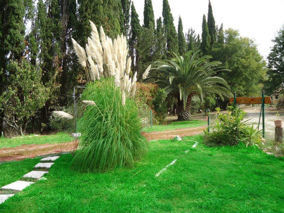 Garden Area