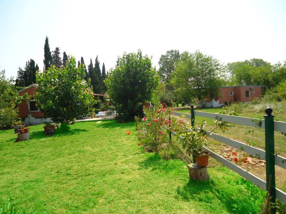 Path in the garden