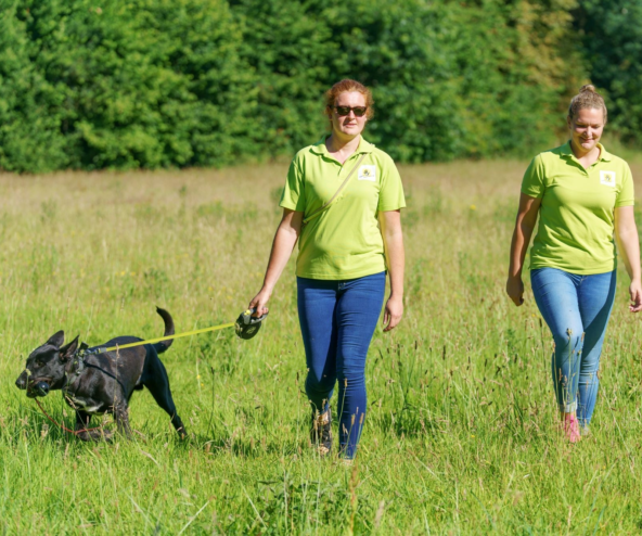 Werken bij het dierenopvangcentrum in Enchede