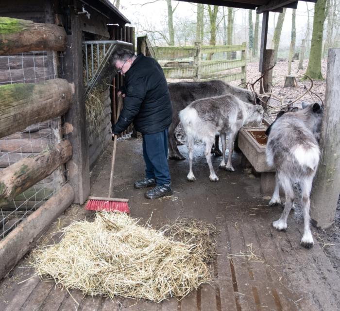 Harry werkt in de dierentuin 07