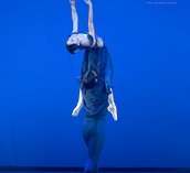 Gallery photo 13
