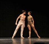 Galerii foto 2