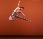 Gallery photo 8