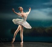 Gallery photo 10