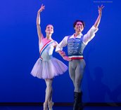 Gallery photo 23