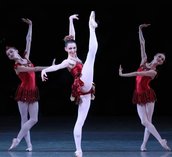 Gallery photo 8
