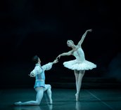 photo1