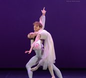Gallery photo 19