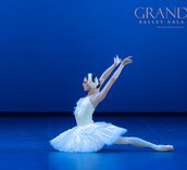 Gallery photo 7