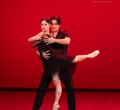 Gallery photo 15