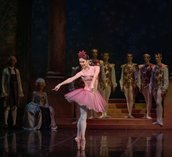 Gallery photo 3