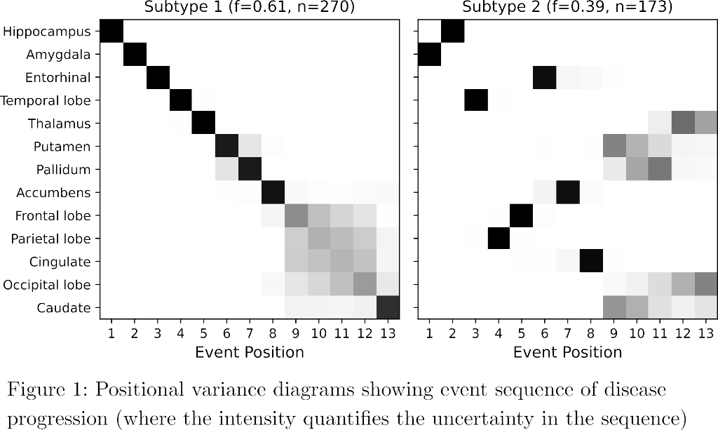 adni_fyn_mri_subtype1_pvd_caption.jpg adni_fyn_mri_subtype1_pvd_caption.jpg