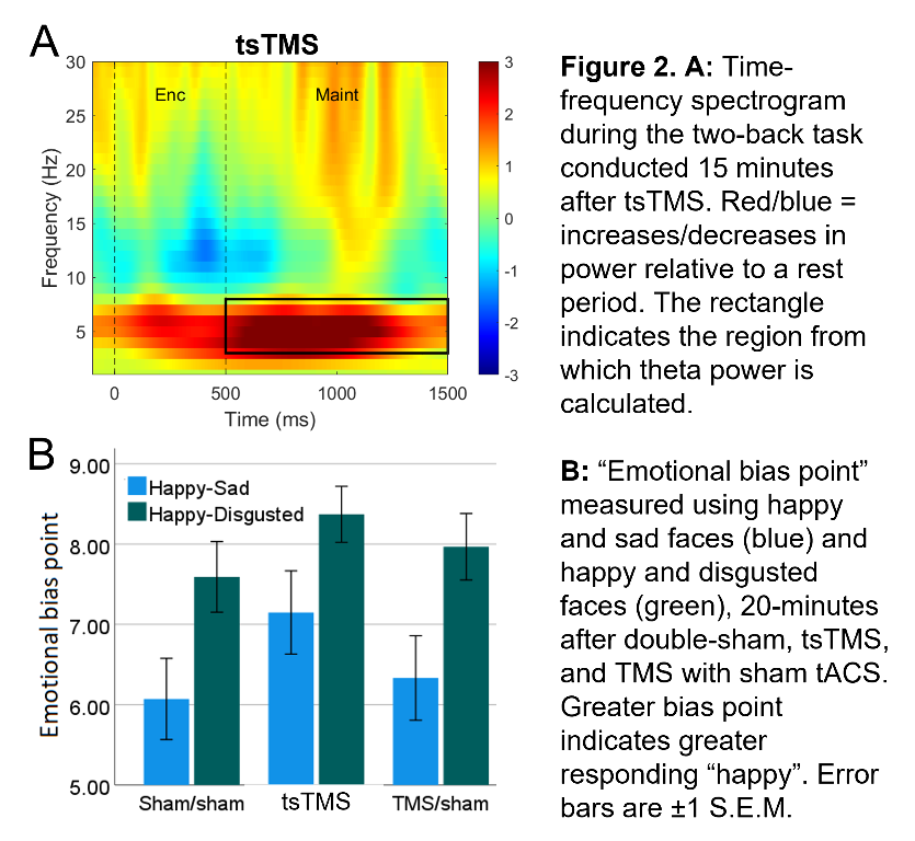 figure2.png figure2.png
