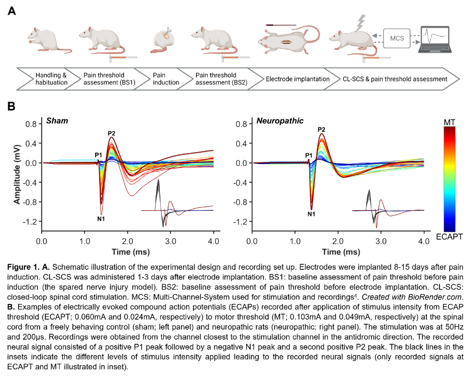 figure 1_ins 2023.png figure 1_ins 2023.png