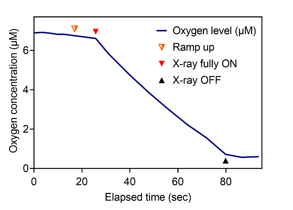 contmeas-xray1.png contmeas-xray1.png