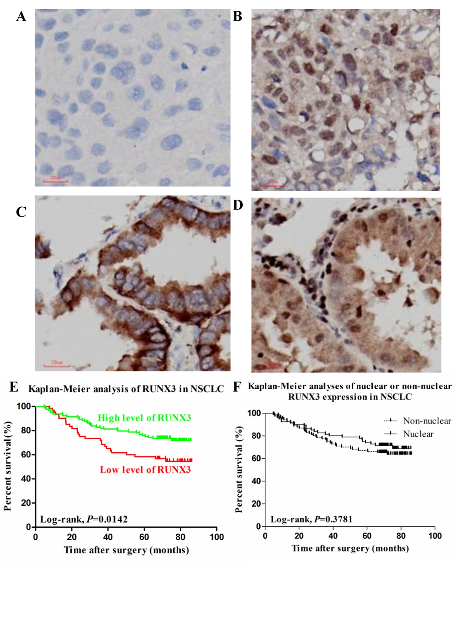 figure 3.jpg