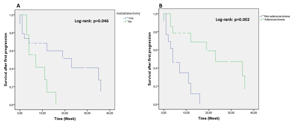 figure 2.jpg