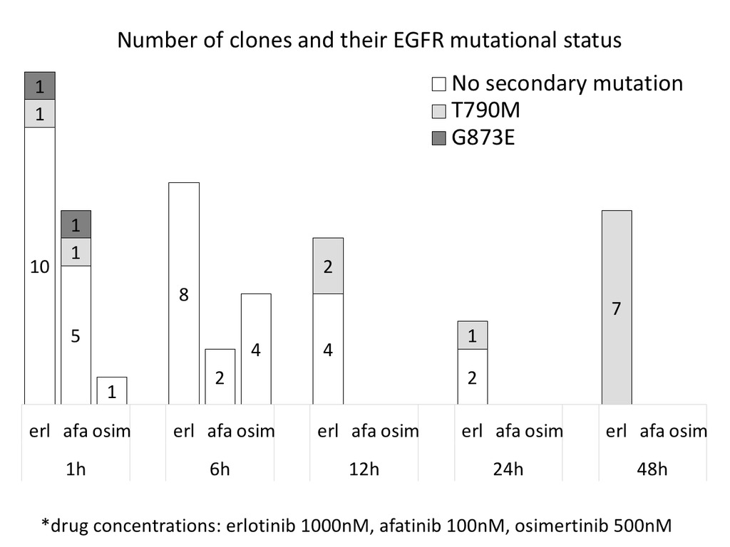 secondary mutations of established clones.tif