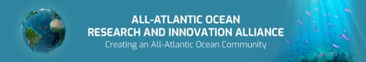 Survey logo