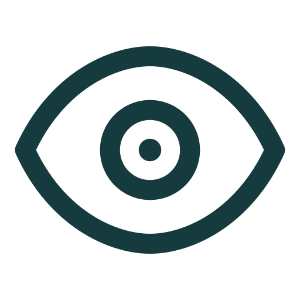Surveillant