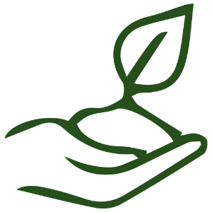 category image