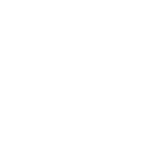 Les webinaires de subsuite