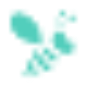category image