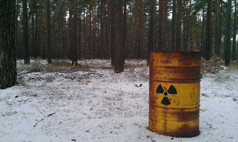 Lituania advierte a los líderes de la UE sobre incidentes nucleares en Bielorrusia Lituania advierte a los líderes de la UE sobre incidentes nucleares en Bielorrusia