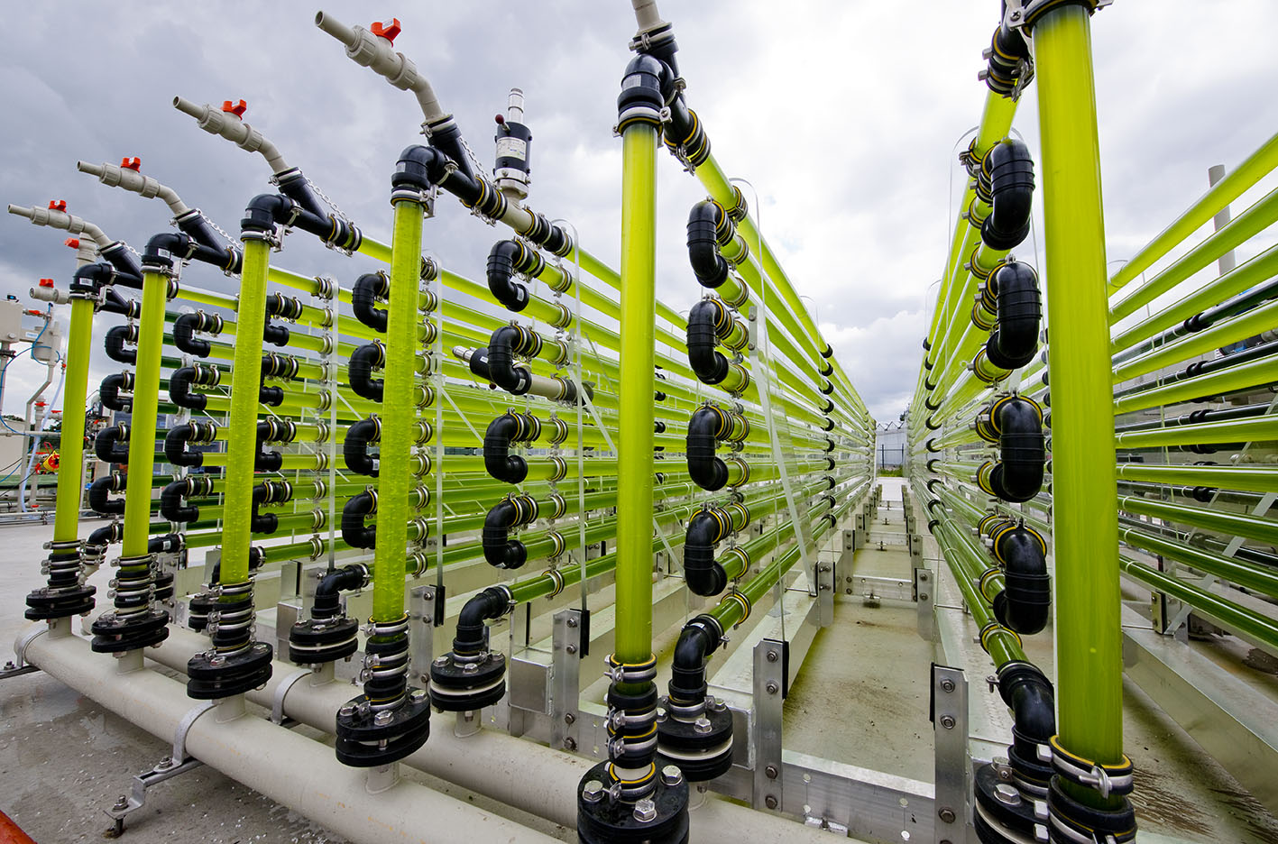 Europe's 'bestkept secret' its booming bioeconomy