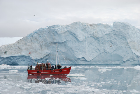 EU environmental policy could face NGO lawsuits