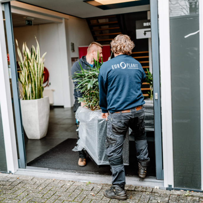 EP Liike Facilitair12