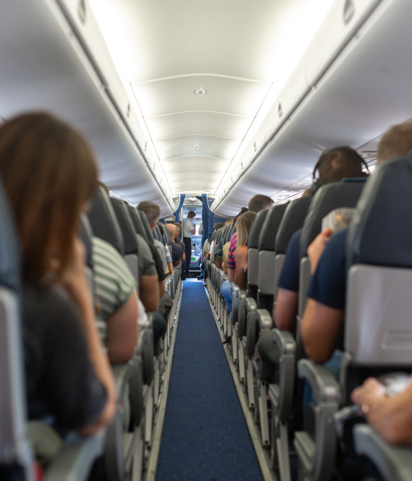 Cabin Crew2