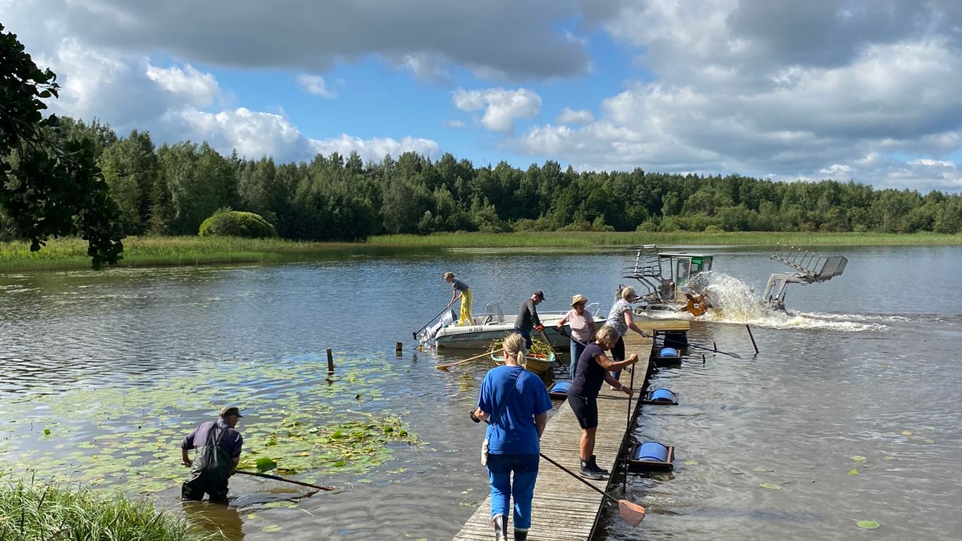 Järvimaisema, laituri, jolla ihmisiä haravien kans