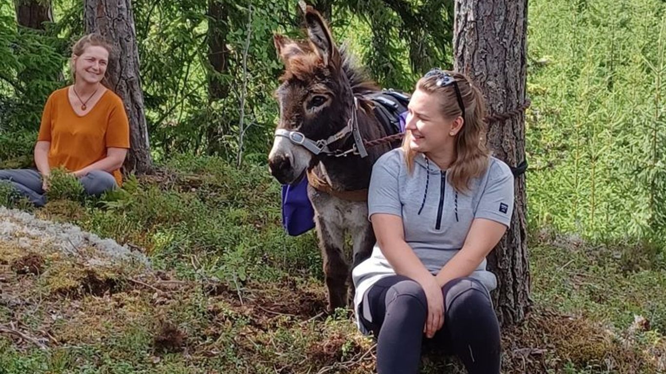 Tauko metsässä