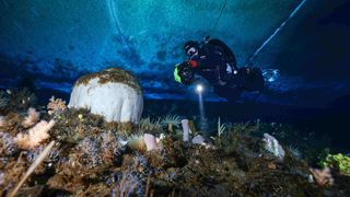 Public lecture: Life as scientific diver in Antarctica
