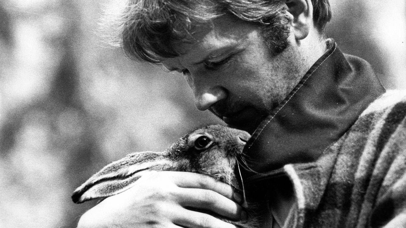 Saimaa Film Festival night screening at Bio Vuoksi