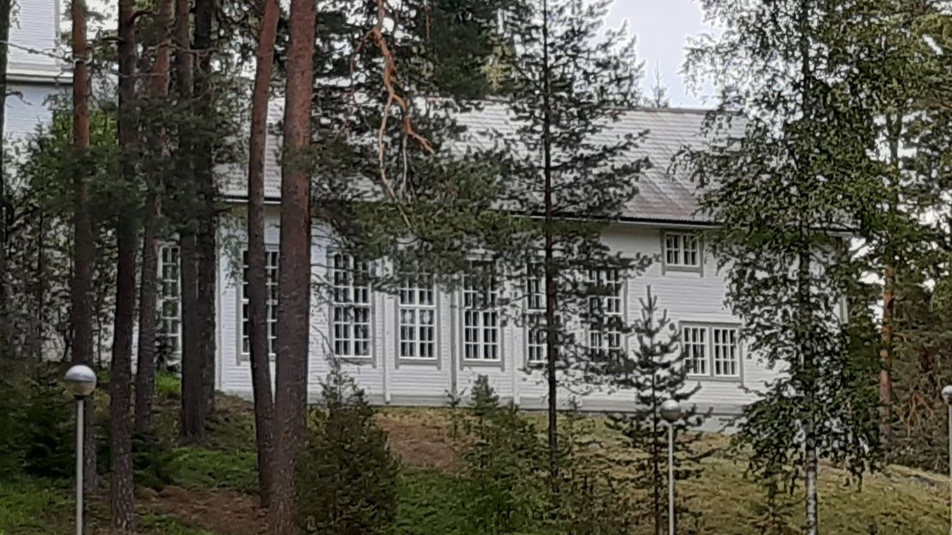 Mäntymetsän keskellä, harjumaisemassa kookas valko